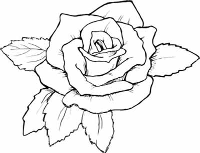 Rose Coloring Pages with subtle shapes and forms, can be colored with