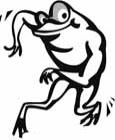 frog coloring pages 