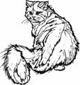 Animal coloring pages