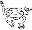 frog coloring pages